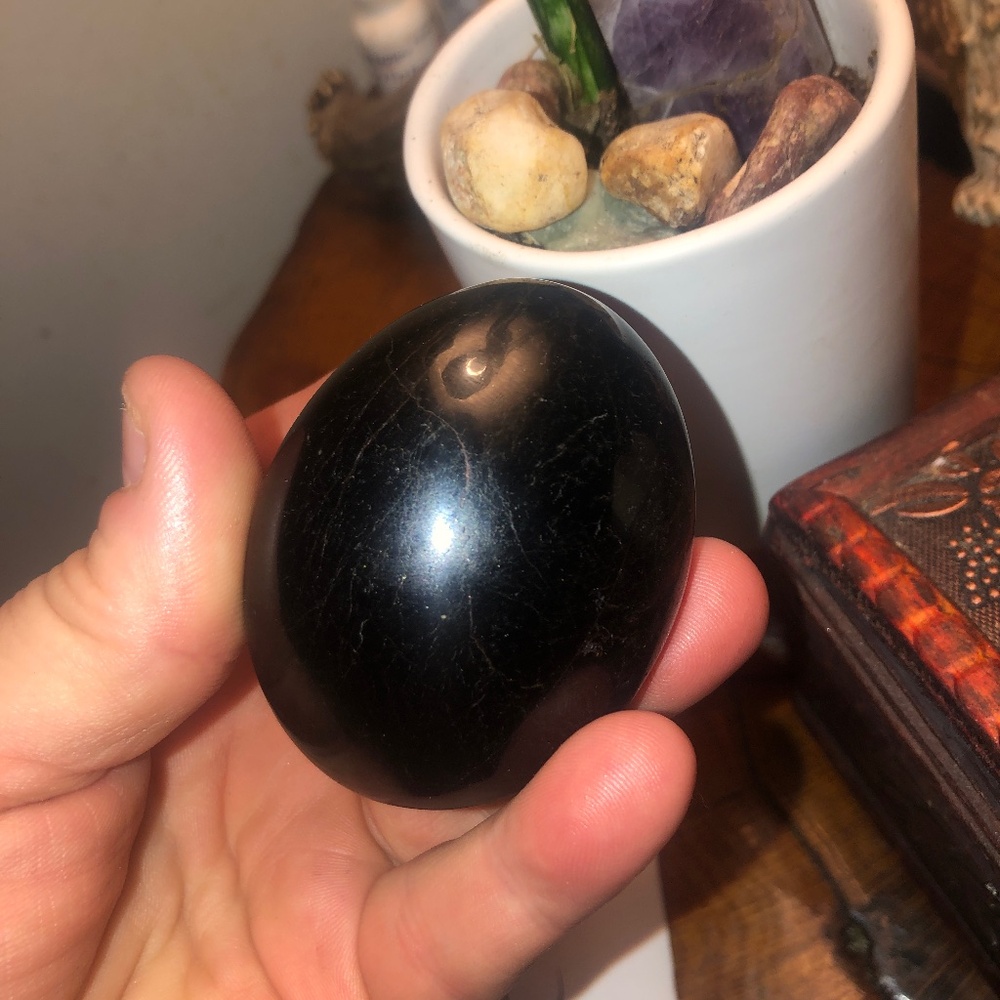Garnet palm